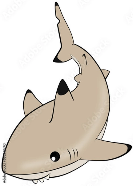 Fototapeta Cute blacktip reef shark, vector illustration, maldives shark