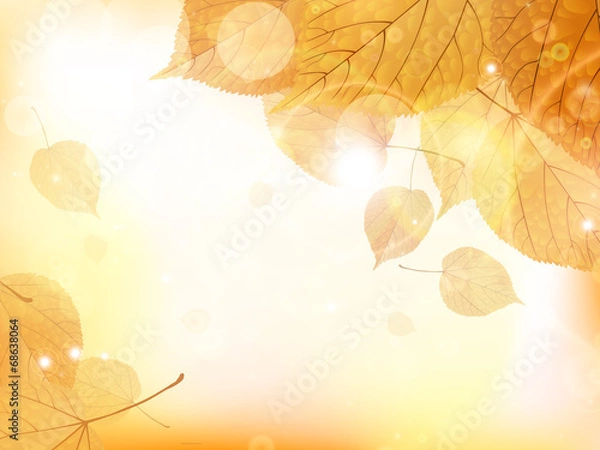 Fototapeta Autumn design background with leaves