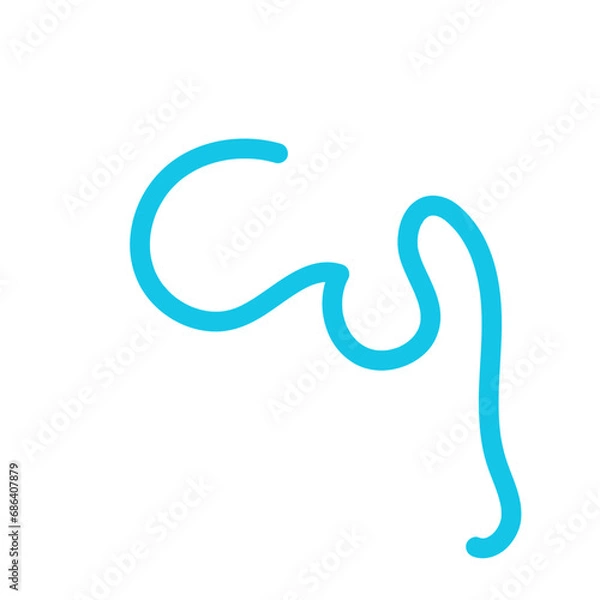 Fototapeta Squiggly line decor vector 