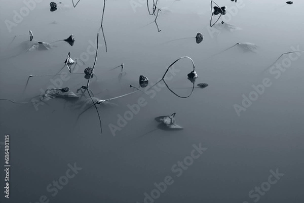 Obraz 凍てつく池_frozen pond