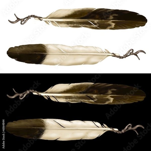 Obraz penne d'aquila