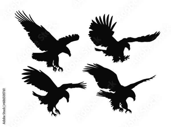 Obraz Set silhouettes of wild eagles in flight.
