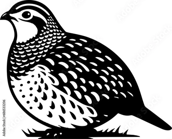 Obraz Northern Bobwhite icon 5