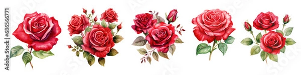 Obraz Set of Watercolor floral bouquet composition with red roses Isolated cutout on transparent background