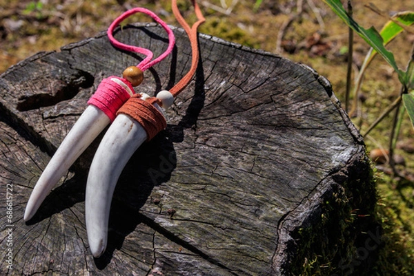 Obraz 切り株の上にある鹿の角装飾品