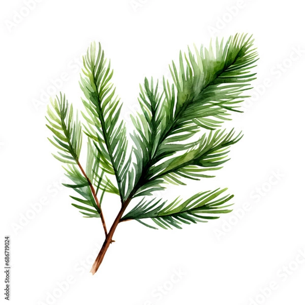 Obraz Tannenzweig Aquarell Grün Weihnachtsschmuck Natur Illustration Handgemalt Botanik Zweig Wandkunst Festliche Dekoration Geschenk