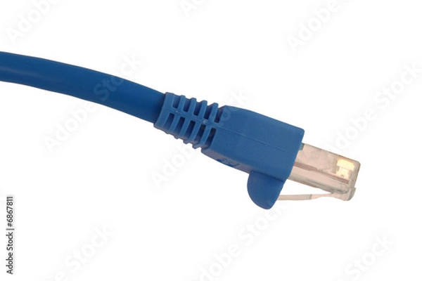 Fototapeta Isolated Cat5 cable on white