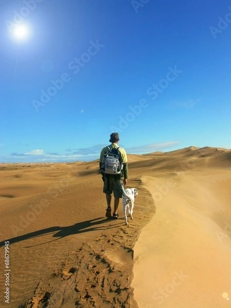 Fototapeta Un homme et son chien sur une dune de sable 