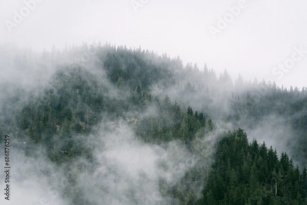 Fototapeta Misty mountain views from hiking trail along Snoqualmie Pass in Washington