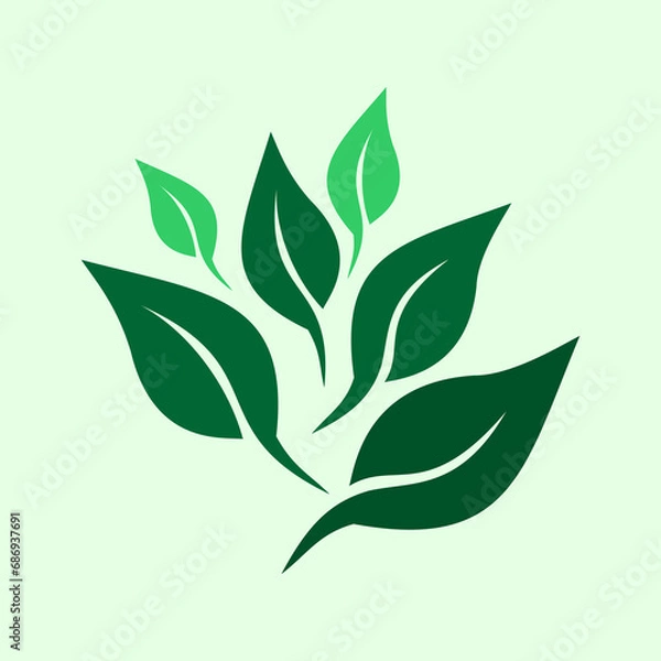 Fototapeta Green leaves vector illustration. The design element is a collection of vector green leaves. Can be used for logos or simple graphic design elements.