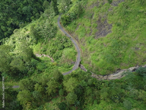 Fototapeta view of the forest