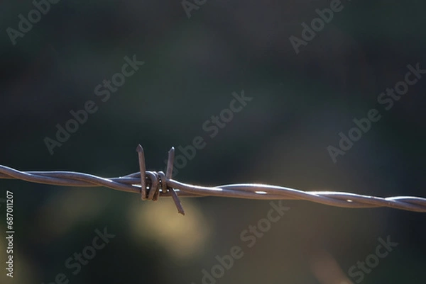 Fototapeta Barbed wire on an abstract background
