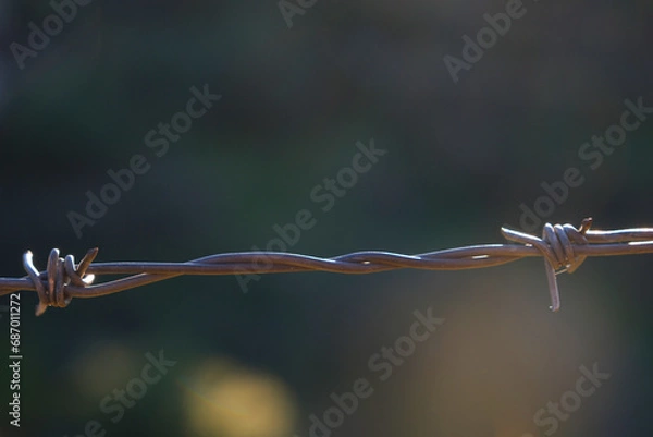 Fototapeta Barbed wire on an abstract background
