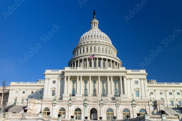 Obraz The US Capitol building, Washington DC.