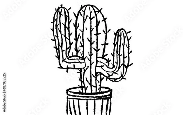 Obraz cactus 