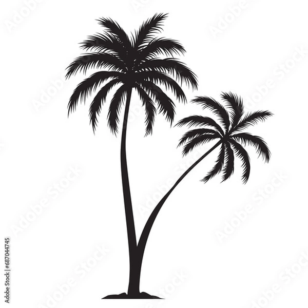 Fototapeta Two black palm trees shape, silhouette of an exotic plant. Illustration on transparent background