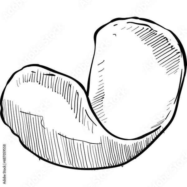 Fototapeta lemon peel handdrawn illustration