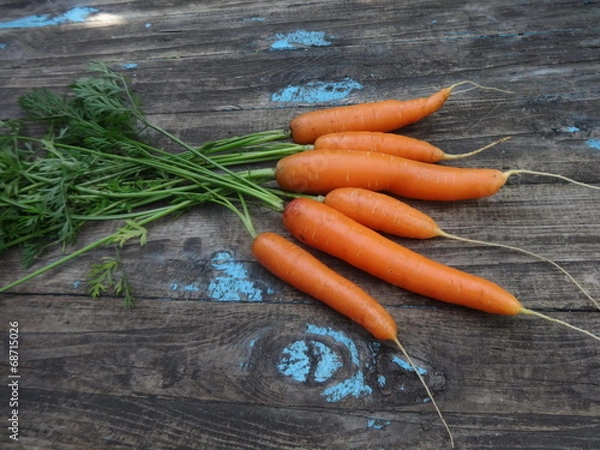 Obraz carrots on wood