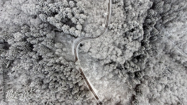 Obraz Der Weg durch den Schnee