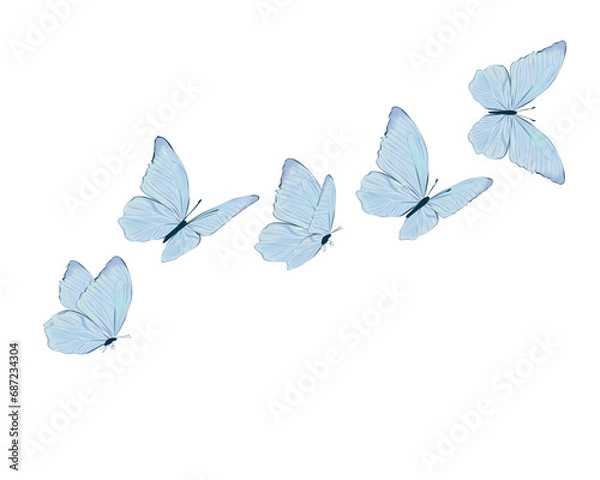 Fototapeta white butterflies on blue background butterfly