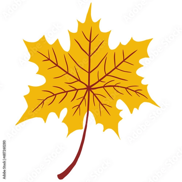 Fototapeta autumn maple leaf 1