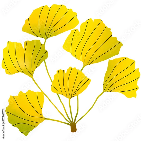 Fototapeta Ginkgo 5