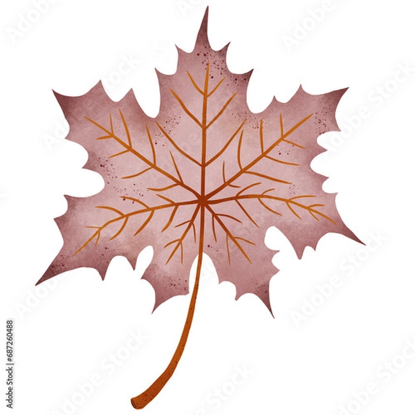 Fototapeta Maple leaf 2