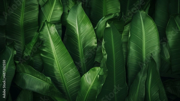 Fototapeta Green leaves pattern background