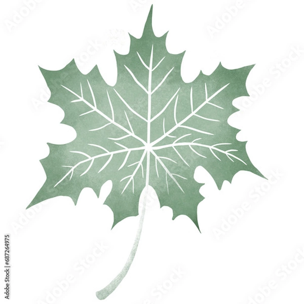 Fototapeta Maple leaf 5