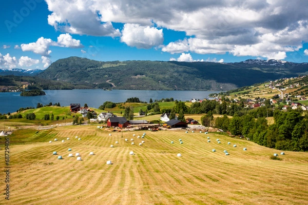 Obraz Fjord landscape.