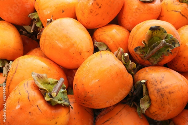 Obraz 干し柿作成用のヘタ付き蜂屋柿（渋柿）
