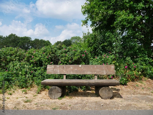 Fototapeta Eine Sitzbank am Wegesrand