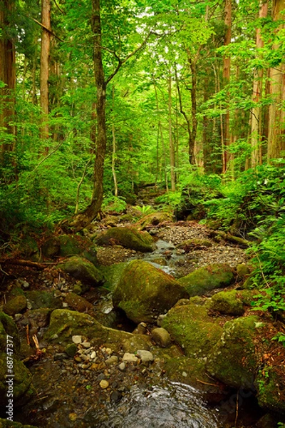 Fototapeta 長野奥社の風景