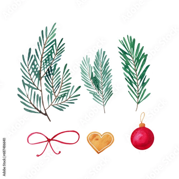 Fototapeta illustration of fir branches, picture of Christmas plants drawn in watercolor. 2024 