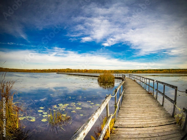 Obraz Autumn landscape