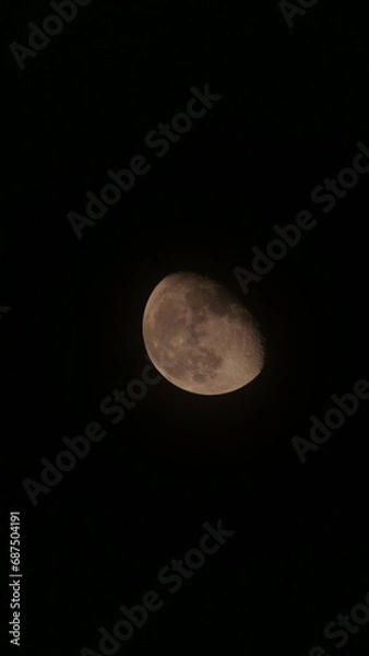 Obraz 【縦】月とクレーター