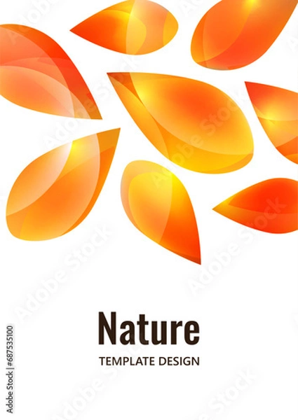 Fototapeta Many transparent isolated petals on a white background. Vector