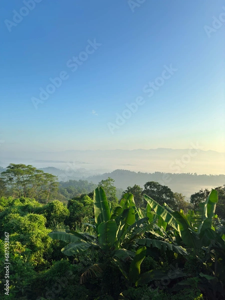 Fototapeta Natural View from Sajek Valley - Kingdom of Clouds