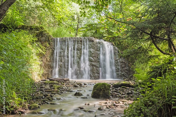 Obraz forest waterfall