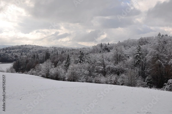 Obraz winter landscape with snow
