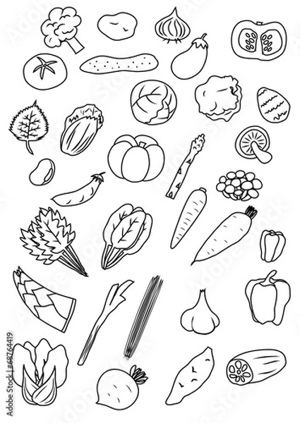 Fototapeta 野菜のアイコン　線画　セット