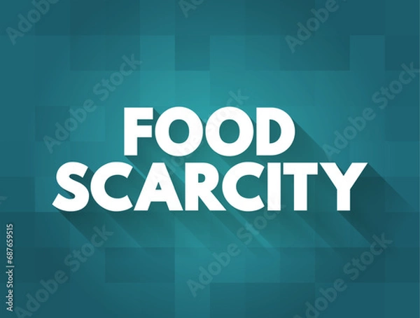 Fototapeta Food scarcity - lack of consistent access to enough food for every person in a household, text concept background
