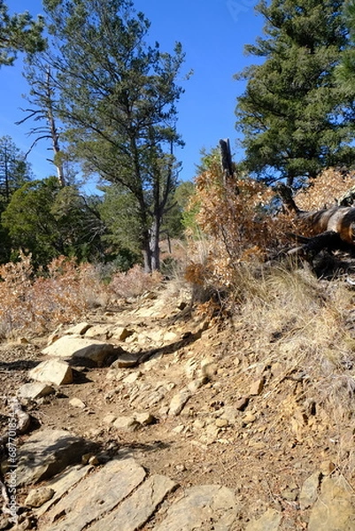 Obraz Grindstone Lake Loop Trail