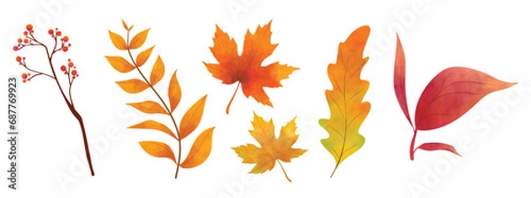 Fototapeta Vector watercolor Set of fall leaves, maple leaf, berries, branch. Forest design elements. Autumn illustrations isolated on white background for seasonal wedding invitations, greeting cards, posters.