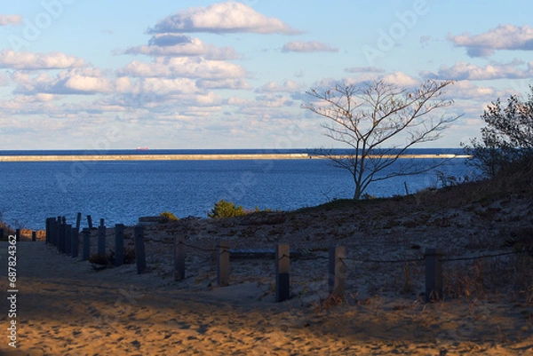 Fototapeta A tree on a beach with clouds