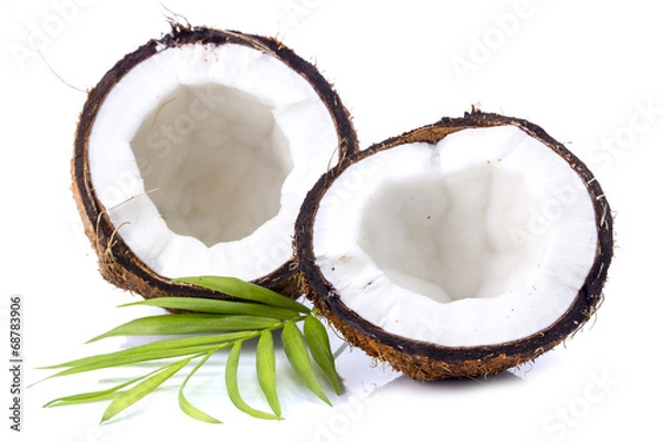 Obraz Coconuts with leaves on a white