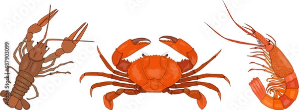 Obraz Crustaceans. Collection of sea animals. Crayfish, crabs, shrimp. Illustration on a transparent background. Vector. 