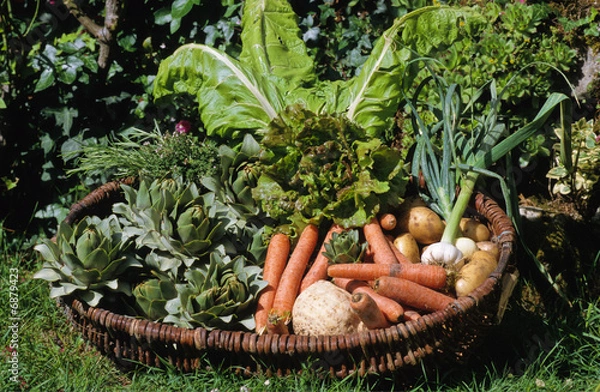 Fototapeta KOSZ WARZYW