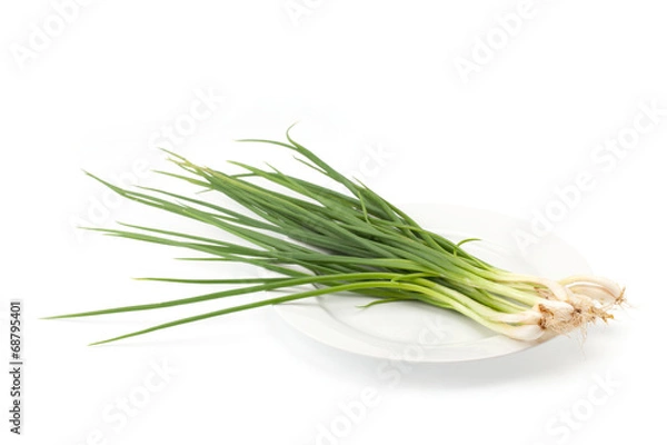 Fototapeta spring onion isolated