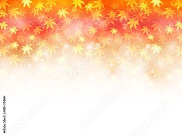 Fototapeta もみじ　紅葉　背景